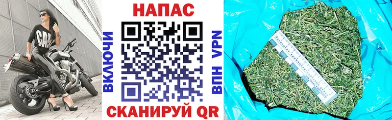 Конопля ГИДРОПОН  Купить закладки  Судогда 